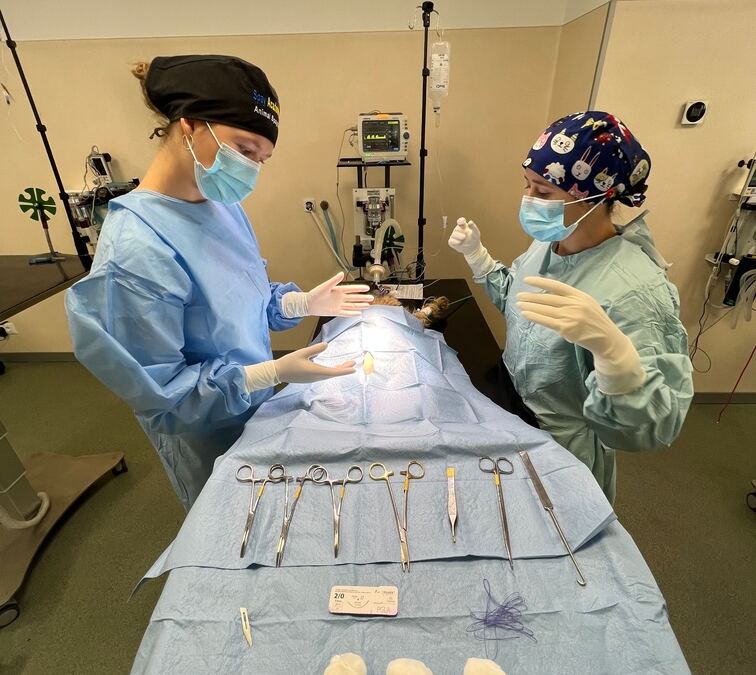 veterinary training