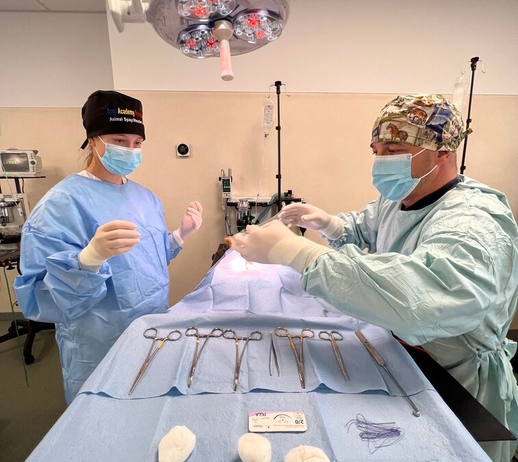 intradermic suture