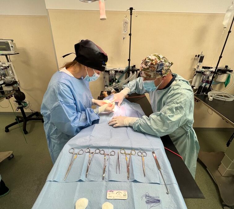 intradermic surgery